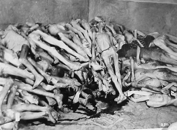 gas chamber bodies