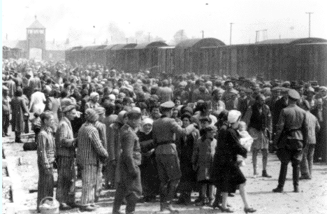 Photo from the Auschwitz Album is shown on CBS video