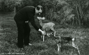 Hitler feeding tame deer at his mountain retreat
