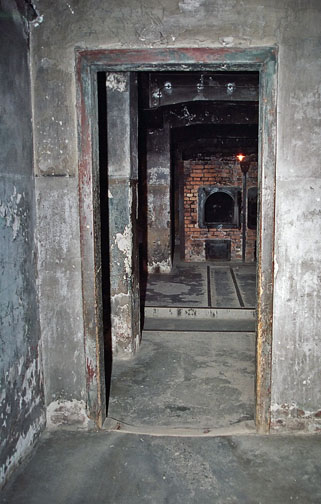 My photo of the view of the ovens at Auschwitz