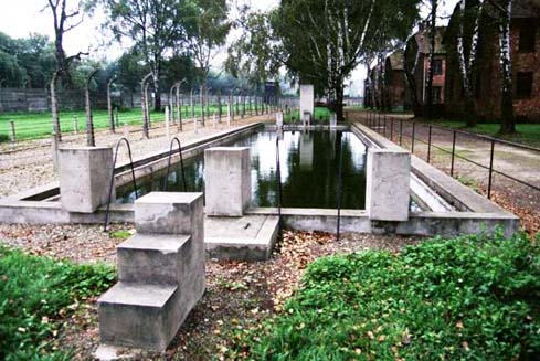 1996 photo of the swimming pool in the main camp