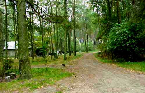 My 1998 photo of the entrance into the Treblinka camp